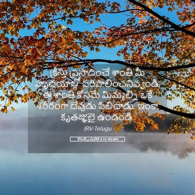 Picture 05 - కొలస్సీ పత్రిక 3:15 TELIRV - క్రీస్తు - Bible Verse Picture