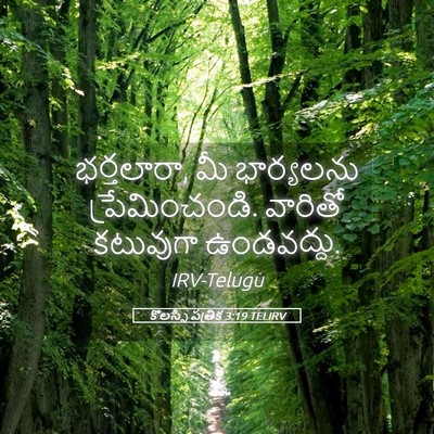 Picture 05 - కొలస్సీ పత్రిక 3:19 TELIRV - భర్తలారా, మీ - Bible Verse Picture