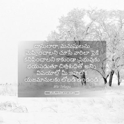 Picture 05 - కొలస్సీ పత్రిక 3:22 TELIRV - దాసులారా, - Bible Verse Picture