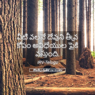 Picture 05 - కొలస్సీ పత్రిక 3:6 TELIRV - వీటి వలనే దేవుని - Bible Verse Picture