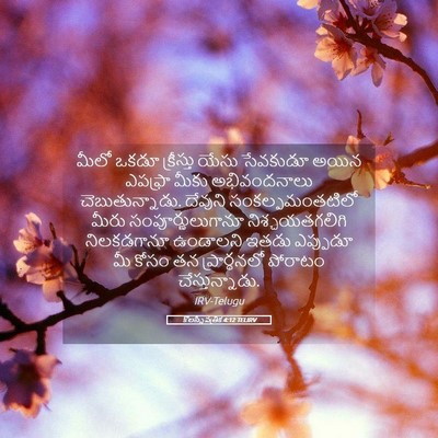 Picture 05 - కొలస్సీ పత్రిక 4:12 TELIRV - మీలో ఒకడూ - Bible Verse Picture