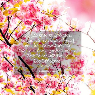 Picture 05 - గలతీ పత్రిక 1:14 TELIRV - అప్పుడు నాకు నా - Bible Verse Picture