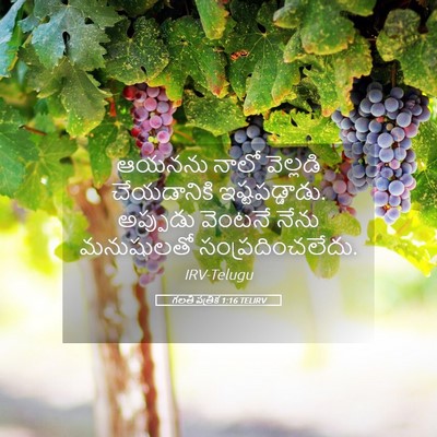 Picture 05 - గలతీ పత్రిక 1:16 TELIRV - ఆయనను నాలో - Bible Verse Picture