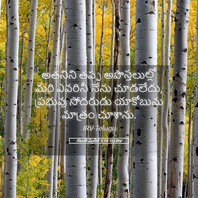 Picture 05 - గలతీ పత్రిక 1:19 TELIRV - అతనిని తప్ప - Bible Verse Picture