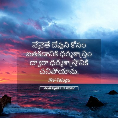 Picture 05 - గలతీ పత్రిక 2:19 TELIRV - నేనైతే దేవుని - Bible Verse Picture