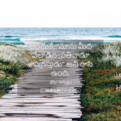 Picture 05 - గలతీ పత్రిక 3:14 TELIRV - అందుకే, “మాను మీద - Bible Verse Picture