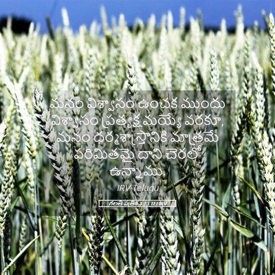 Picture 05 - గలతీ పత్రిక 3:23 TELIRV - మనం విశ్వాసం ఉంచక - Bible Verse Picture