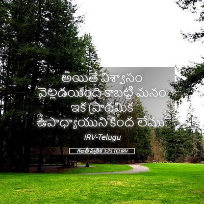 Picture 05 - గలతీ పత్రిక 3:25 TELIRV - అయితే విశ్వాసం - Bible Verse Picture
