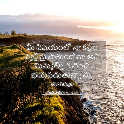 Picture 05 - గలతీ పత్రిక 4:11 TELIRV - మీ విషయంలో నా - Bible Verse Picture