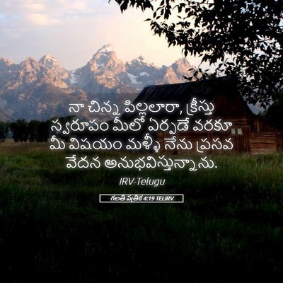 Picture 05 - గలతీ పత్రిక 4:19 TELIRV - నా చిన్న - Bible Verse Picture