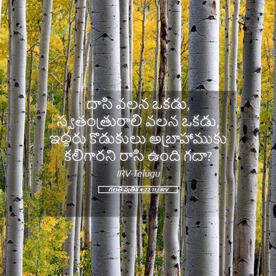 Picture 05 - గలతీ పత్రిక 4:22 TELIRV - దాసి వలన ఒకడు, - Bible Verse Picture