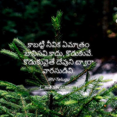 Picture 05 - గలతీ పత్రిక 4:7 TELIRV - కాబట్టి నీవిక - Bible Verse Picture
