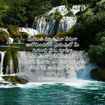 Picture 05 - గలతీ పత్రిక 5:10 TELIRV - మీరెంత మాత్రమూ - Bible Verse Picture
