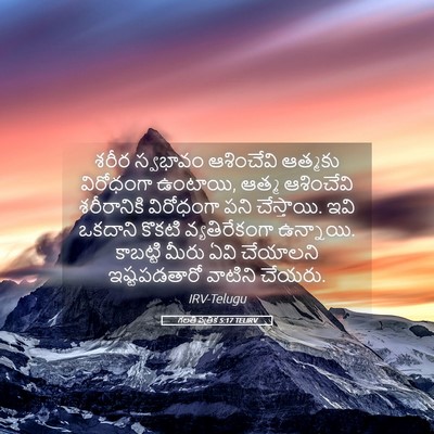 Picture 05 - గలతీ పత్రిక 5:17 TELIRV - శరీర స్వభావం - Bible Verse Picture