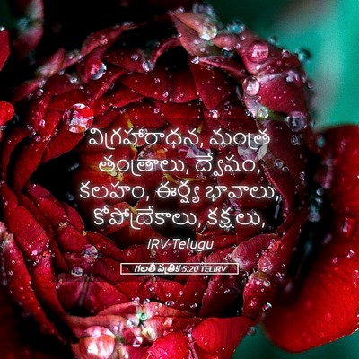 Picture 05 - గలతీ పత్రిక 5:20 TELIRV - విగ్రహారాధన, - Bible Verse Picture