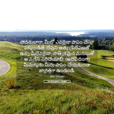 Picture 05 - గలతీ పత్రిక 6:1 TELIRV - సోదరులారా, మీలో - Bible Verse Picture