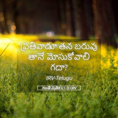 Picture 05 - గలతీ పత్రిక 6:5 TELIRV - ప్రతివాడూ తన - Bible Verse Picture
