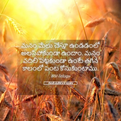 Picture 05 - గలతీ పత్రిక 6:9 TELIRV - మనం మేలు చేస్తూ - Bible Verse Picture