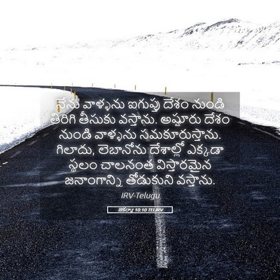 Picture 05 - జెకర్యా 10:10 TELIRV - నేను వాళ్ళను - Bible Verse Picture