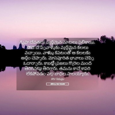 Picture 05 - జెకర్యా 10:2 TELIRV - గృహ దేవతలు - Bible Verse Picture