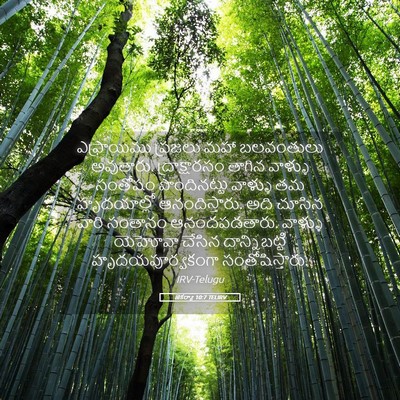 Picture 05 - జెకర్యా 10:7 TELIRV - ఎఫ్రాయిము ప్రజలు - Bible Verse Picture