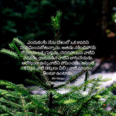 Picture 05 - జెకర్యా 11:16 TELIRV - ఎందుకంటే నేను - Bible Verse Picture