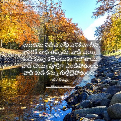 Picture 05 - జెకర్యా 11:17 TELIRV - మందను - Bible Verse Picture