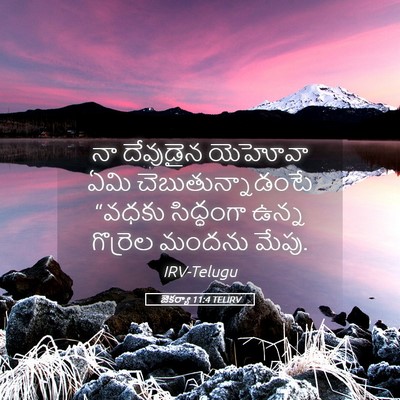 Picture 05 - జెకర్యా 11:4 TELIRV - నా దేవుడైన యెహోవా - Bible Verse Picture
