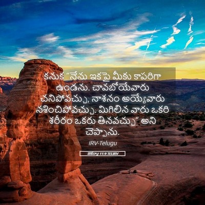 Picture 05 - జెకర్యా 11:9 TELIRV - కనుక “నేను ఇకపై - Bible Verse Picture