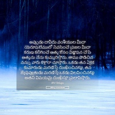 Picture 05 - జెకర్యా 12:10 TELIRV - అప్పుడు దావీదు - Bible Verse Picture