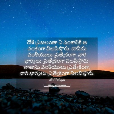 Picture 05 - జెకర్యా 12:12 TELIRV - దేశ ప్రజలంతా ఏ - Bible Verse Picture
