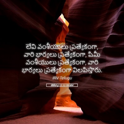 Picture 05 - జెకర్యా 12:13 TELIRV - లేవి వంశీయులు - Bible Verse Picture