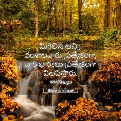 Picture 05 - జెకర్యా 12:14 TELIRV - మిగిలిన అన్ని - Bible Verse Picture