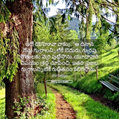 Picture 05 - జెకర్యా 12:4 TELIRV - ఇదే యెహోవా వాక్కు. - Bible Verse Picture