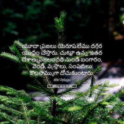 Picture 05 - జెకర్యా 14:14 TELIRV - యూదా ప్రజలు - Bible Verse Picture