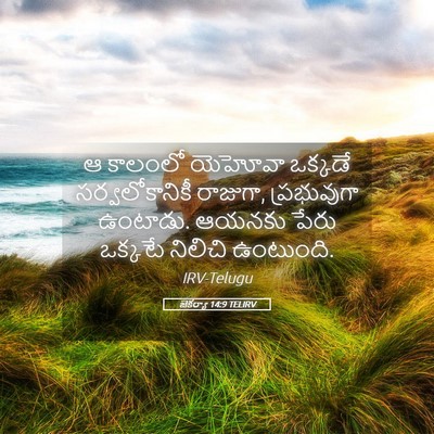 Picture 05 - జెకర్యా 14:9 TELIRV - ఆ కాలంలో యెహోవా - Bible Verse Picture