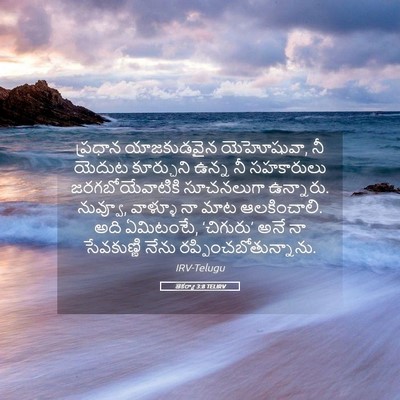 Picture 05 - జెకర్యా 3:8 TELIRV - ప్రధాన యాజకుడవైన - Bible Verse Picture