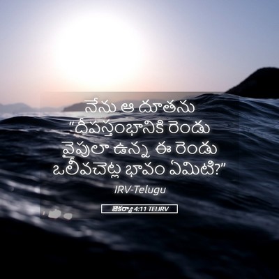 Picture 05 - జెకర్యా 4:11 TELIRV - నేను ఆ దూతను - Bible Verse Picture
