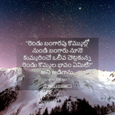 Picture 05 - జెకర్యా 4:12 TELIRV - “రెండు బంగారపు - Bible Verse Picture