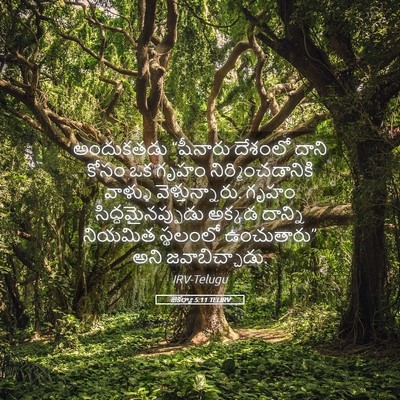 Picture 05 - జెకర్యా 5:11 TELIRV - అందుకతడు “షీనారు - Bible Verse Picture