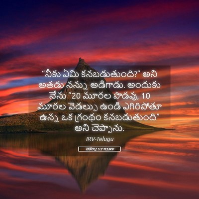 Picture 05 - జెకర్యా 5:2 TELIRV - “నీకు ఏమి - Bible Verse Picture