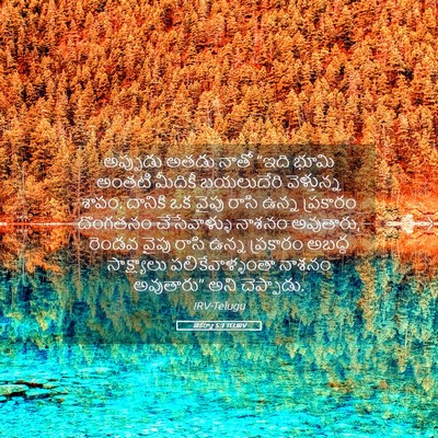 Picture 05 - జెకర్యా 5:3 TELIRV - అప్పుడు అతడు నాతో - Bible Verse Picture