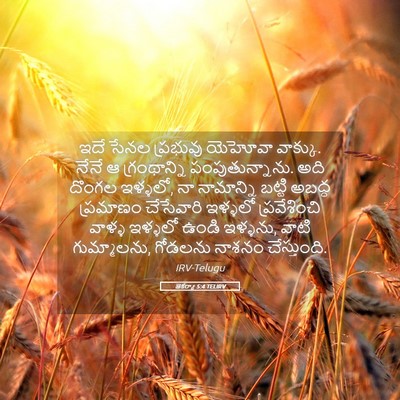 Picture 05 - జెకర్యా 5:4 TELIRV - ఇదే సేనల ప్రభువు - Bible Verse Picture