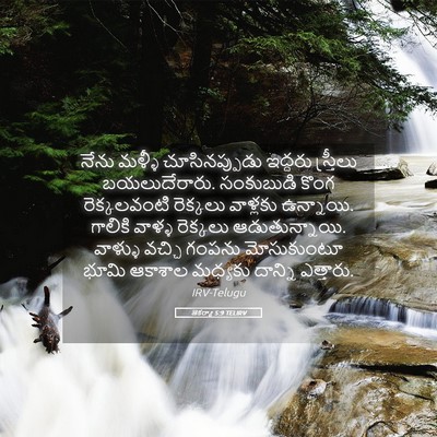 Picture 05 - జెకర్యా 5:9 TELIRV - నేను మళ్ళీ - Bible Verse Picture