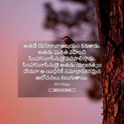 Picture 05 - జెకర్యా 6:13 TELIRV - అతడే యెహోవా ఆలయం - Bible Verse Picture