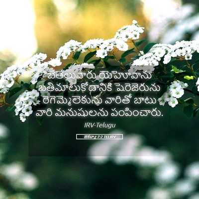 Picture 05 - జెకర్యా 7:2 TELIRV - బేతేలువారు - Bible Verse Picture