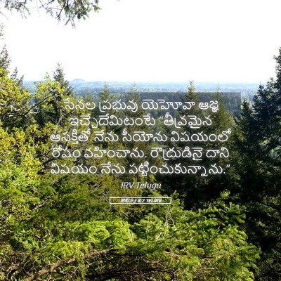Picture 05 - జెకర్యా 8:2 TELIRV - సేనల ప్రభువు - Bible Verse Picture
