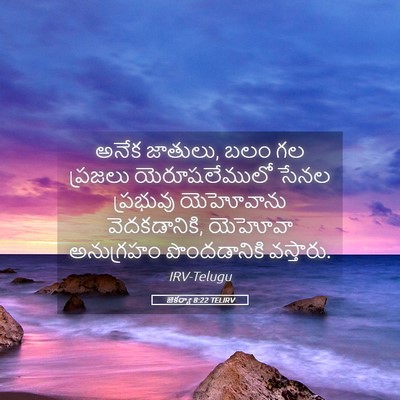 Picture 05 - జెకర్యా 8:22 TELIRV - అనేక జాతులు, బలం గల - Bible Verse Picture