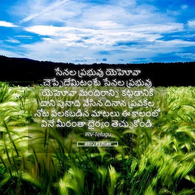 Picture 05 - జెకర్యా 8:9 TELIRV - సేనల ప్రభువు - Bible Verse Picture