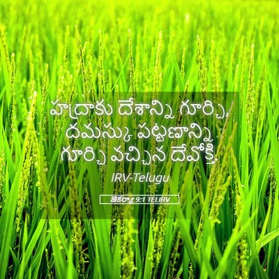 Picture 05 - జెకర్యా 9:1 TELIRV - హద్రాకు దేశాన్ని - Bible Verse Picture